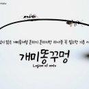 개미똥구멍 이미지