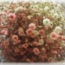 그린바다 이미지