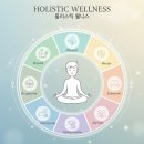 Wellness(건강한 삶)은 건강의 핵심이다 | '홀리스틱 웰니스(Holistic Wellness)', 진정한 건강의 완성