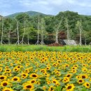 방화동가족휴가촌 자동차야영장 | [전라북도] 공립 와룡 자연휴양림 가이드