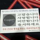 썸띵스페셜 | 대전 사주 타로 잘보는곳 시크릿 사주 후기