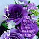 가수 백호 님의 보라빛 엽서 이미지