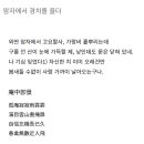 가암 Daum카페
