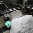 오감발달통합놀이 6-12개월 A | 6개월부터 시작한 첫문센 이마트 애기똥풀 만족 후기 봄학기도 등록