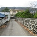 상율소류지 Daum카페