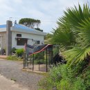 하도리안 이미지