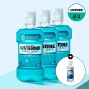 4공단로1L-5 | 리스테린 쿨민트 1L 내돈내산 후기, 입냄새 제거 효과와 올바른 사용법 총정리