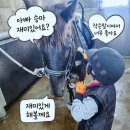 코어스포츠 제주 | 2026년 학생승마지원사업 일반승마 선정 후기! 제주 운주승마클럽 작은말이 있어서 아이들 맞춤형으로...