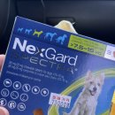 건강샘약국 이미지