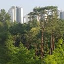 석모도온천공인중개사사무소 이미지