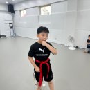 합성태권도장 이미지