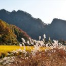 해월드펜션 이미지
