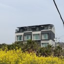 제이 앤 제이 애견 | 제주 서귀포펜션 추천 애견동반 가능한 제이큐브 3박4일 솔직후기