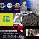✴️송년인사 입니다. 🇰🇷한국 의 위치가 대박인 이유?🎵가수: 강문경 🎶노래:눈뜨고 있는한 이미지