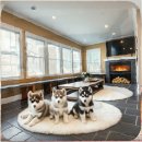 용인센타약국 | 용인 기흥구 폼스키분양 현장에서 확인한 진짜 후기