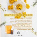 애플바디힐링 이미지