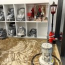 베베토피아 강릉점 이미지