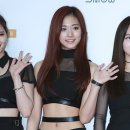 쯔위 카카오 검색결과