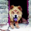 인터넷월드 이미지