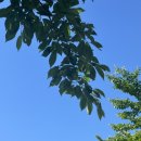 오렌즈강남역점 이미지