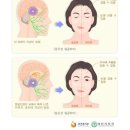 느티나무한의원 이미지