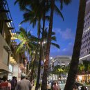 와이키키짐 | [하와이 여행 #3] 와이키키 가성비 숙소 추천! 하얏트 센트릭 투숙 후기 (짐 싸기 전 필독! ⚠️)