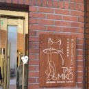 태미꼬