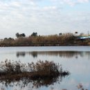 십이리체육공원 이미지