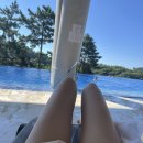 라탄 앤 day | [제주 태교여행 2일차] 히든 클리프-원앤온리 카페-연돈-중문 고등어쌈밥-대평리 박수기정