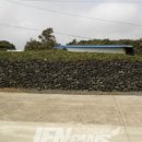 삼달2리 이미지