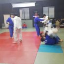 (주)유도