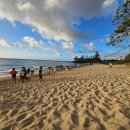 태양팜스 | [하와이 자유여행] 오아후 노스쇼어 거북이 비치(라니아케아 해변) 주차 꿀팁과 환상적인 쌍무지개...