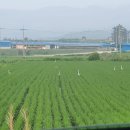 상읍농장 이미지