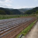 효령공인중개사사무소 이미지