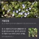 영이네민박 | [장수 여행] 진짜 찐 시골 힐링 영이네 민박집