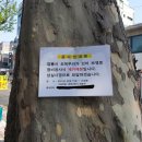 성균관로 이미지