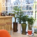 친한부동산공인중개사사무소 이미지