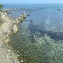 엠아이알오(MIRO) | 기장오션뷰카페, 엠아이알오 요거트 내돈내산 후기