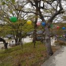 여주-0417 네이버블로그