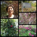 서천 남산성 이미지