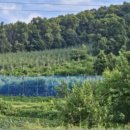 고미마을회관 이미지