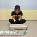 옐레드 애견유치원 & 애견호텔 광명점 | 답십리 애견유치원 옐레드 등원 2주차! : 선생님한테 드디어 애교부리다!