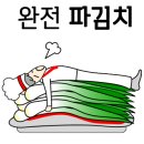 보령애견 이미지