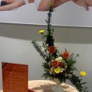 베버리힐즈피부관리 네이버블로그