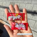 영도분식 | 영도로컬맛집 분식맛집 백설대학솔직후기