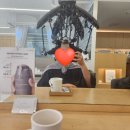 황실헤어샵 - 당진시 | 황실헤어샵