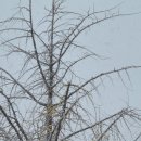 활터어린이공원 이미지