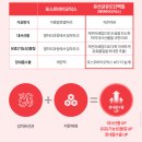 에피바이오틱스