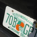 헤밍웨이 | 마이애미 키웨스트 렌트 당일치기 여행 • 헤밍웨이의 집 방문 후기