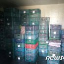 영도유통 이미지